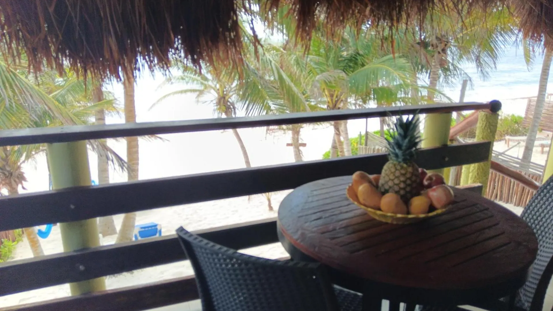 Unahkin Akumal, Tulum Beachfront Condo Relaxing Akumal
